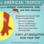 Zika-virus-from-CDC