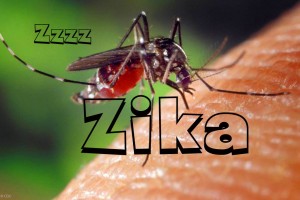 Here Come Another One……ZIKA VIRUS